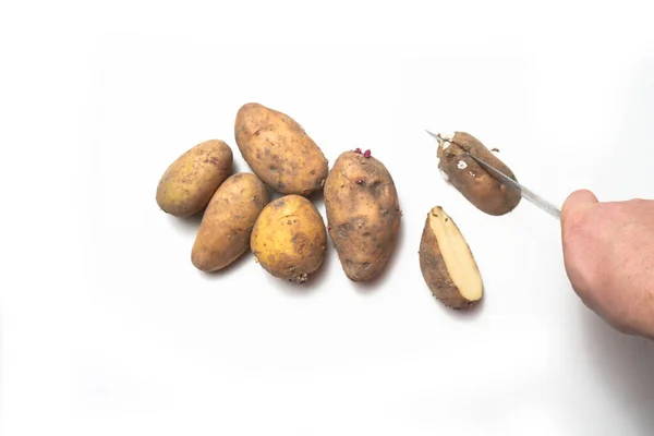 Potatoes White Table Next Cut Rotten Potato — Stock Photo, Image