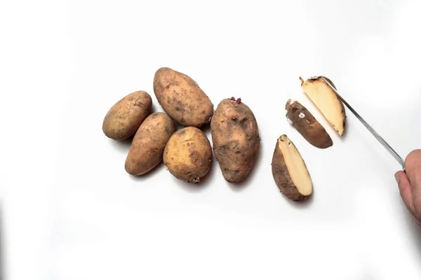 Potatoes White Table Next Cut Rotten Potato — Stock Photo, Image