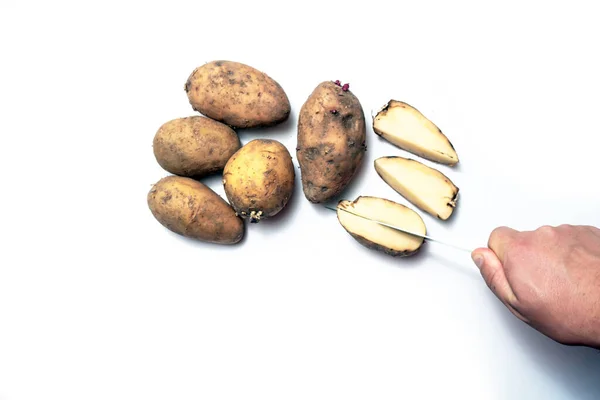 Potatoes White Table Next Cut Rotten Potato — Stock Photo, Image