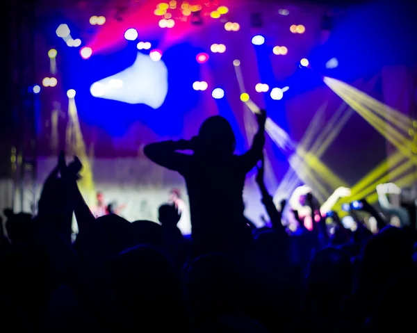 Foto de jovens se divertindo no concerto de rock, estilo de vida ativo , — Fotografia de Stock