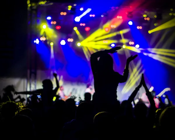 Foto de jóvenes divirtiéndose en el concierto de rock, estilo de vida activo , — Foto de Stock