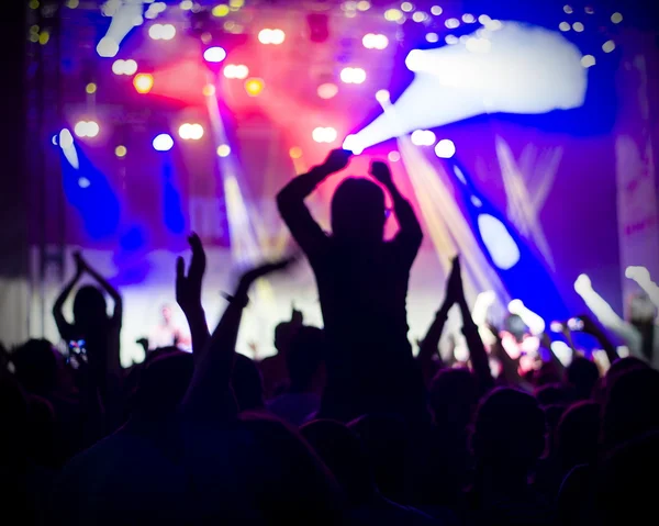 Foto de jovens se divertindo no concerto de rock, estilo de vida ativo , — Fotografia de Stock