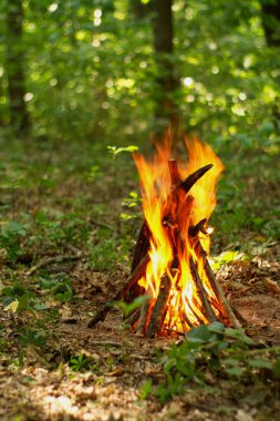 Ormanda şenlik ateşi.