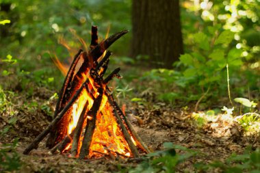 Ormanda şenlik ateşi.
