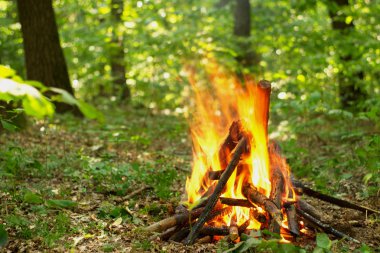 Ormanda şenlik ateşi.