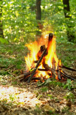 Ormanda şenlik ateşi.