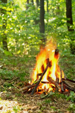 Ormanda şenlik ateşi.