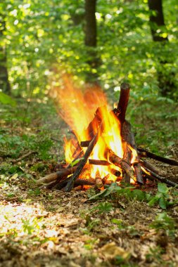 Ormanda şenlik ateşi.