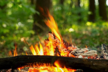 Ormanda şenlik ateşi.