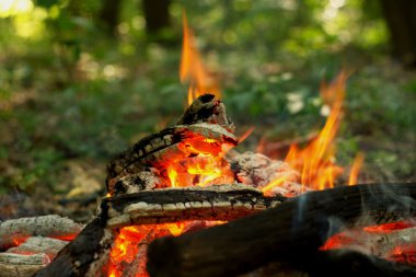 Ormanda şenlik ateşi.