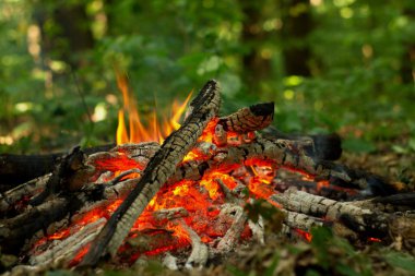 Ormanda şenlik ateşi.