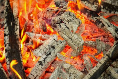 Ormanda şenlik ateşi.