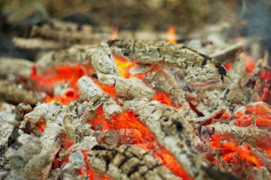 Ormanda şenlik ateşi.