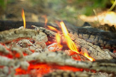 Ormanda şenlik ateşi.