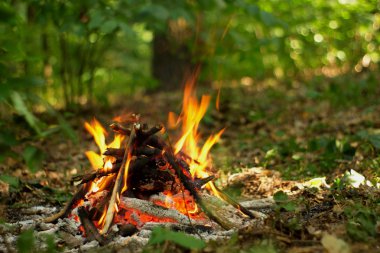 Ormanda şenlik ateşi.