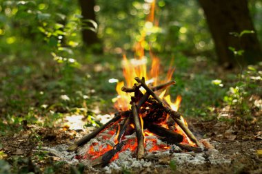 Ormanda şenlik ateşi.