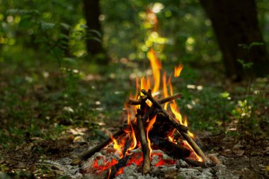 Ormanda şenlik ateşi.