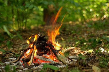 Ormanda şenlik ateşi.