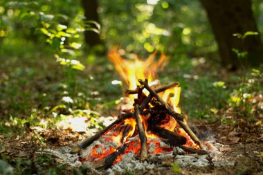 Ormanda şenlik ateşi.