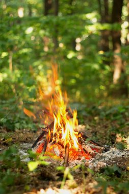 Ormanda şenlik ateşi.