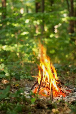 Ormanda şenlik ateşi.