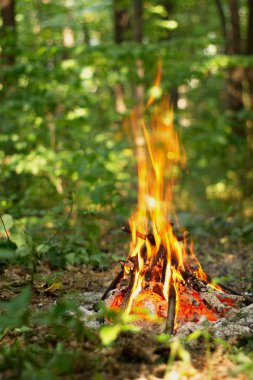 Ormanda şenlik ateşi.