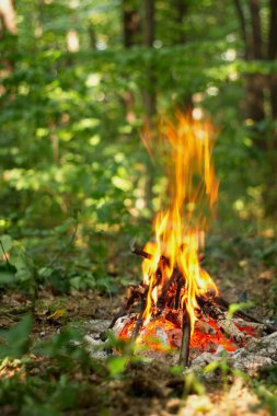 Ormanda şenlik ateşi.