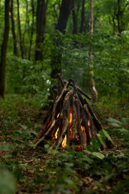 Ormanda şenlik ateşi.