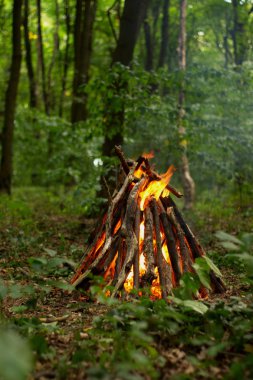 Ormanda şenlik ateşi.