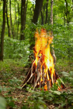 Ormanda şenlik ateşi.