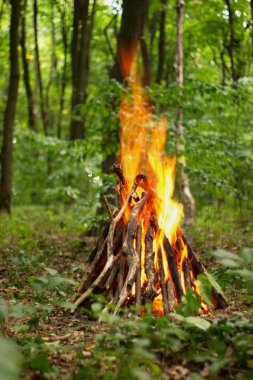 Ormanda şenlik ateşi.