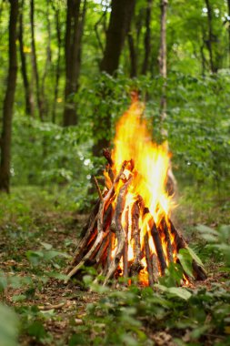 Ormanda şenlik ateşi.