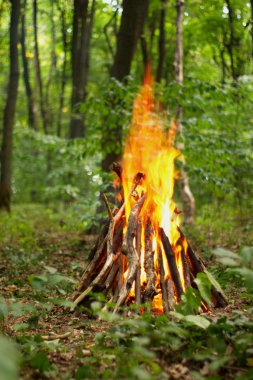 Ormanda şenlik ateşi.
