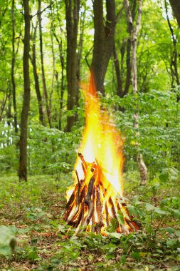Ormanda şenlik ateşi.