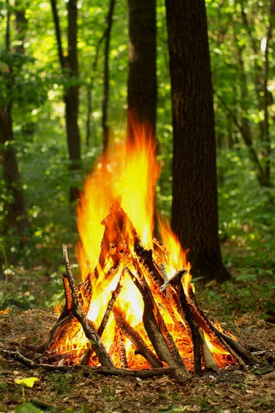 Lagerfeuer im Wald. — Stockfoto