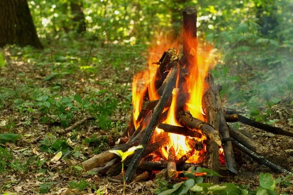 Bonfire in het bos. — Stockfoto