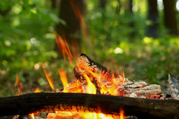 Lagerfeuer im Wald. — Stockfoto