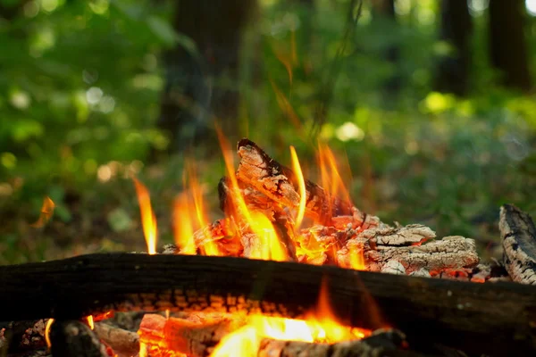 Lagerfeuer im Wald. — Stockfoto