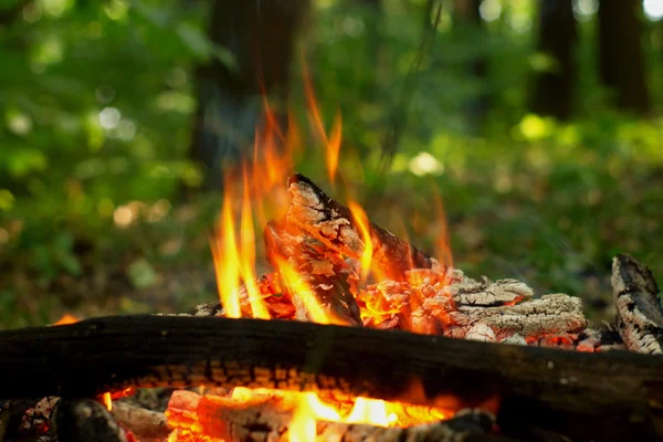 Lagerfeuer im Wald. — Stockfoto