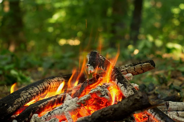 Lagerfeuer im Wald. — Stockfoto