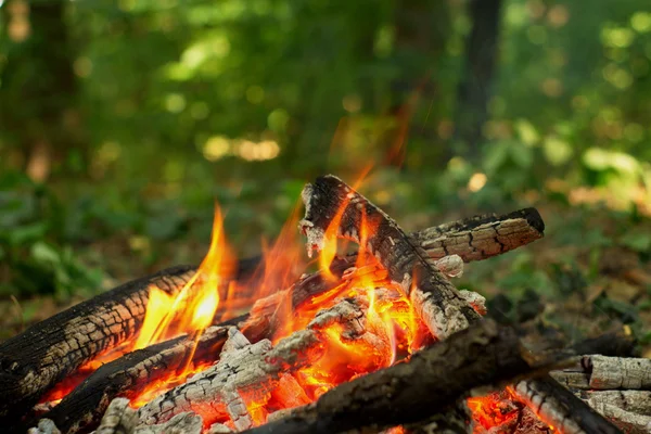 Lagerfeuer im Wald. — Stockfoto