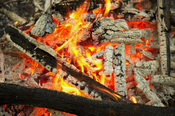 Lagerfeuer im Wald. — Stockfoto