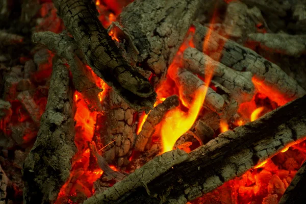 Lagerfeuer im Wald. — Stockfoto