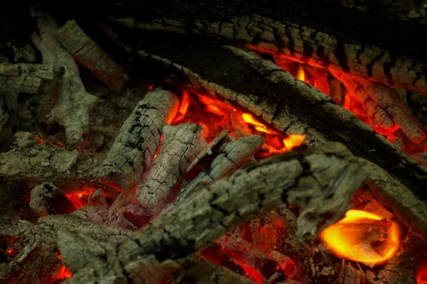 Lagerfeuer im Wald. — Stockfoto