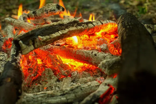 Lagerfeuer im Wald. — Stockfoto