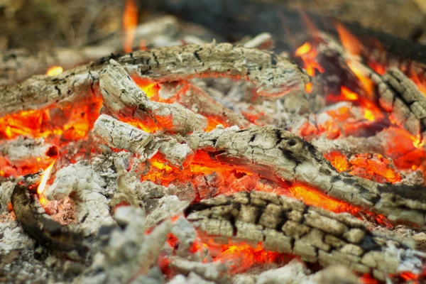 Lagerfeuer im Wald. — Stockfoto