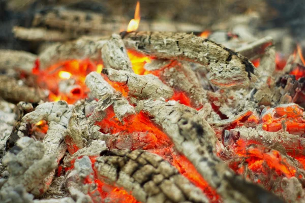 Lagerfeuer im Wald. — Stockfoto