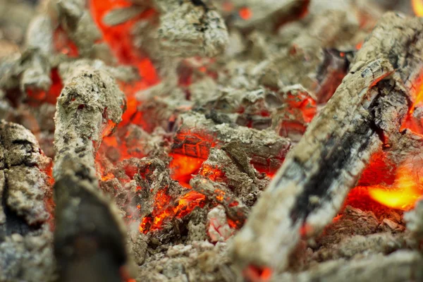 Lagerfeuer im Wald. — Stockfoto