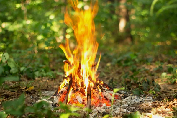 Lagerfeuer im Wald. — Stockfoto