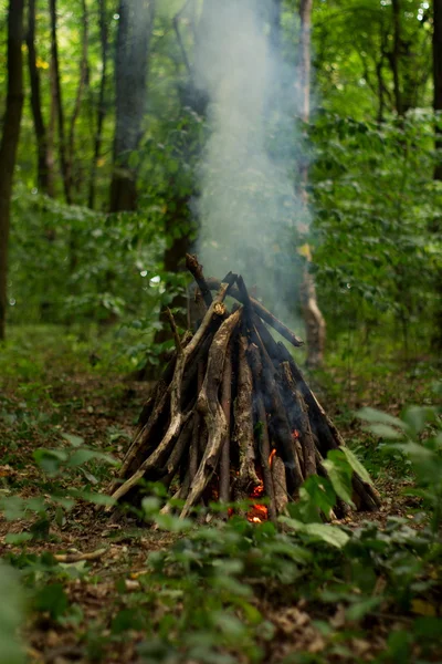 stock image Bonfire in the forest.